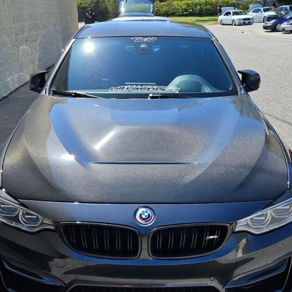 GTS Front Hood